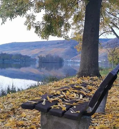 Moselterrasse Zell an der Mosel