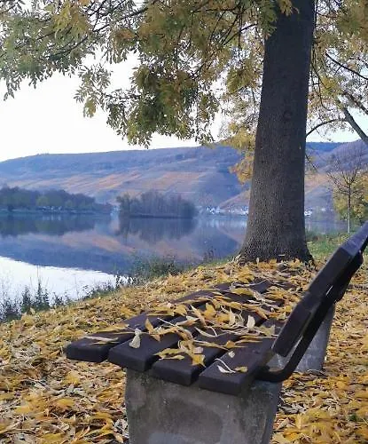 Moselterrasse Zell an der Mosel