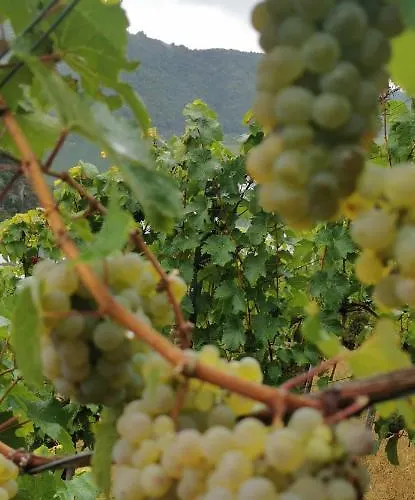 Moselterrasse Apartment *